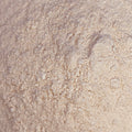 Finely ground golden Sea moss in powder form (BULK)