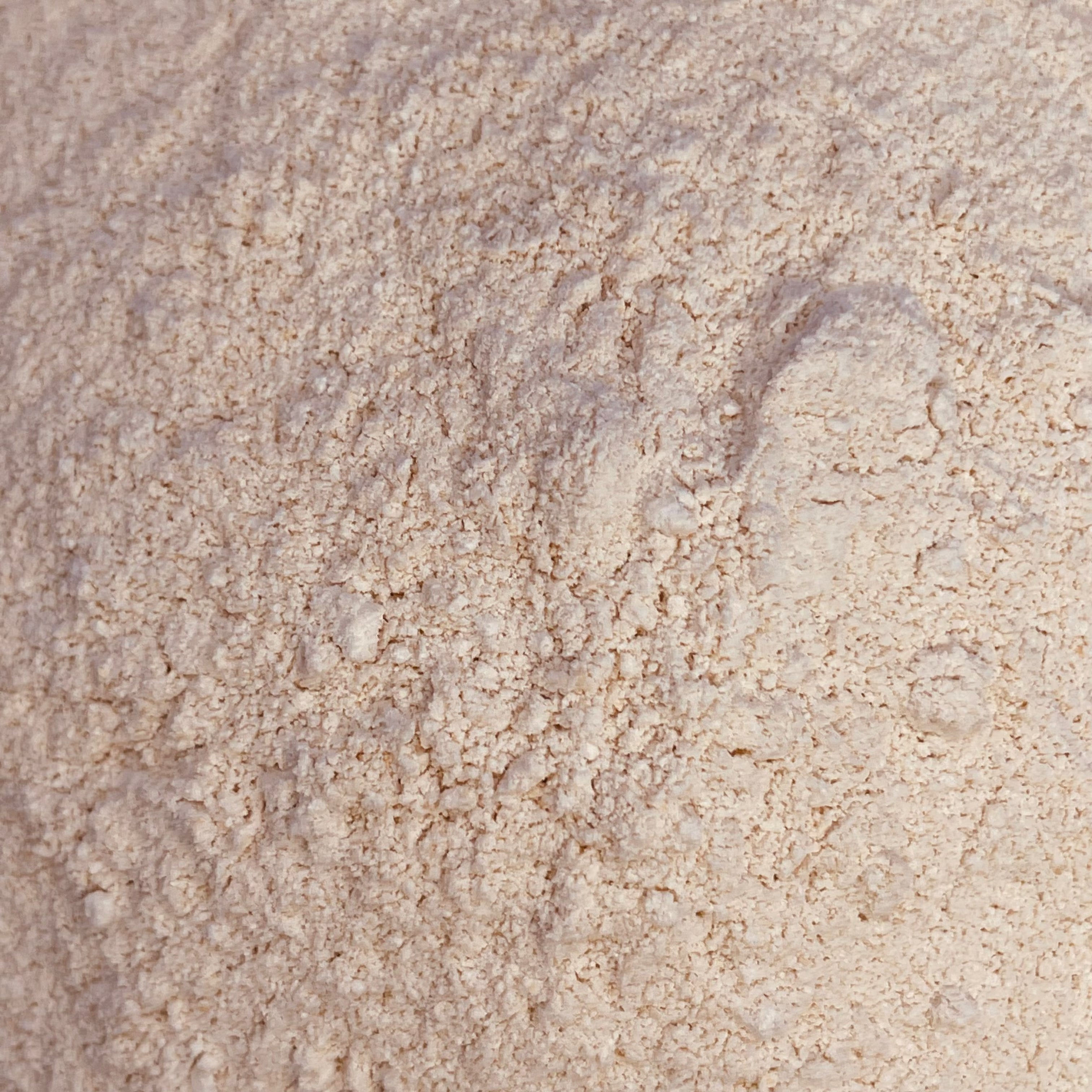 Finely ground golden Sea moss in powder form (BULK)