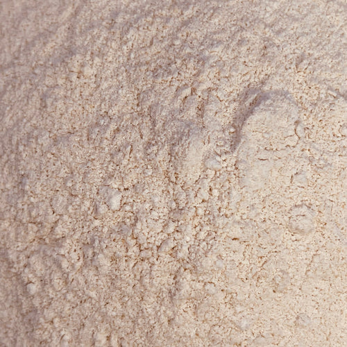 Finely ground golden Sea moss in powder form (BULK)