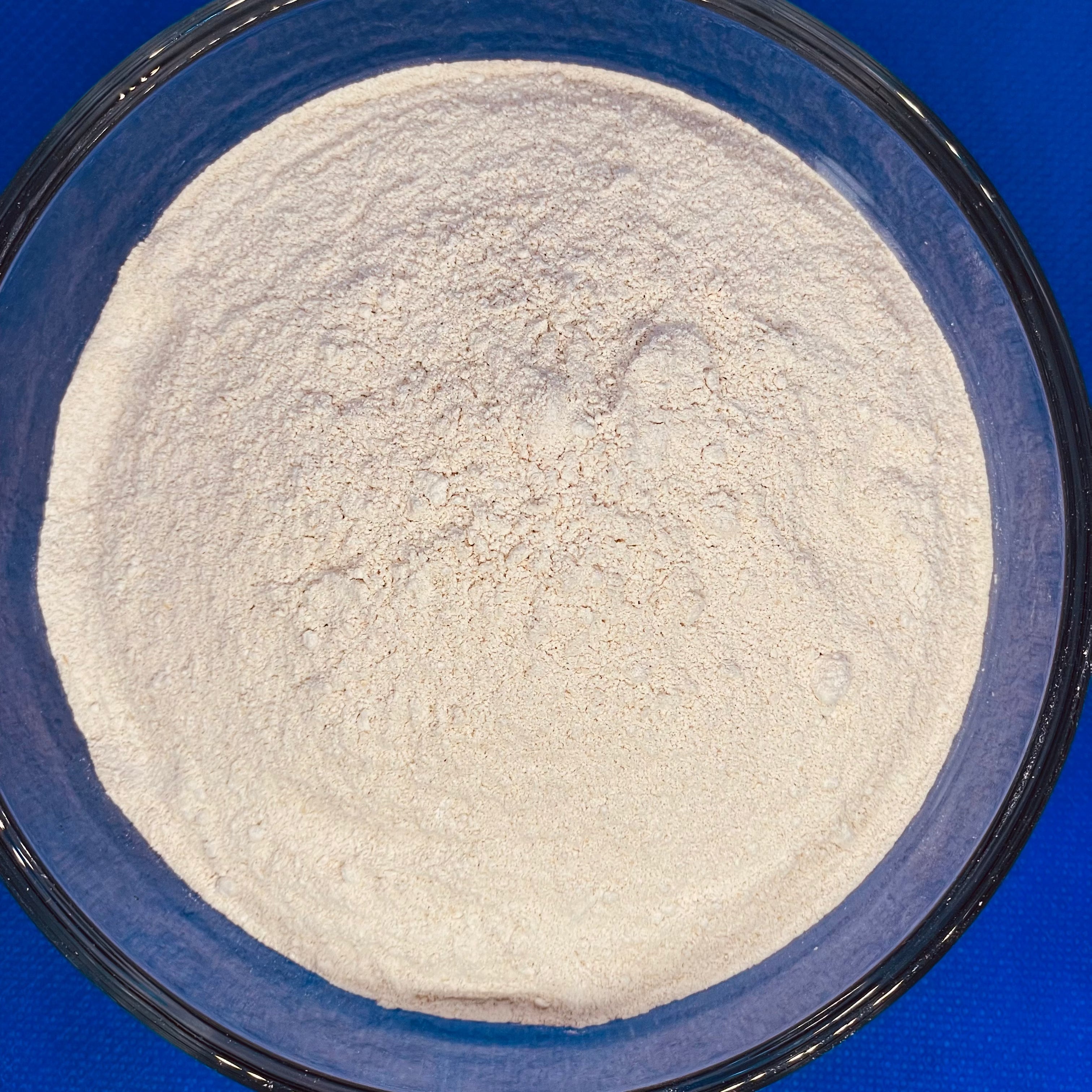 Finely ground golden Sea moss in powder form (BULK)
