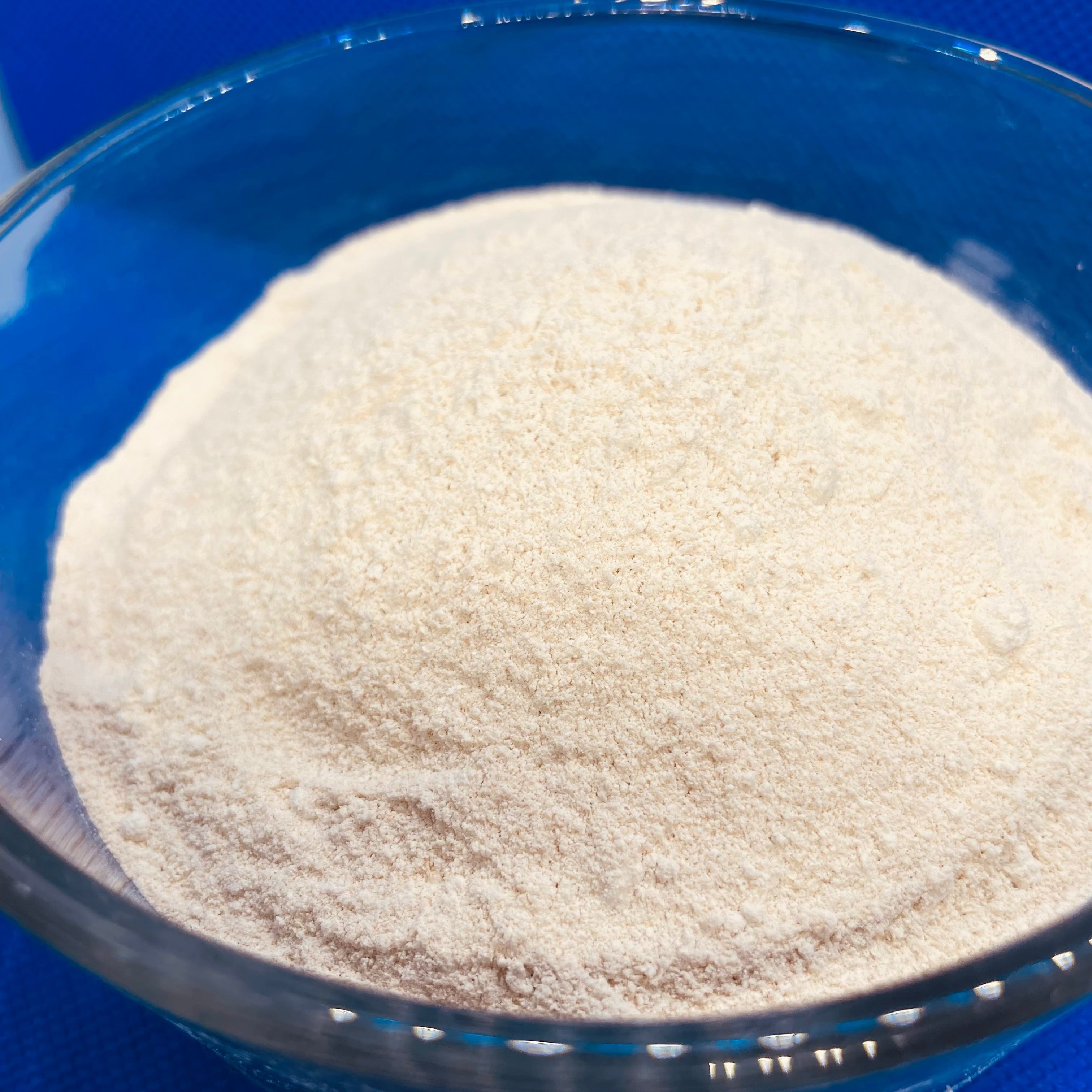 Finely ground golden Sea moss in powder form (BULK)