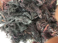 Purple Seamoss - Wholesale (SBC)