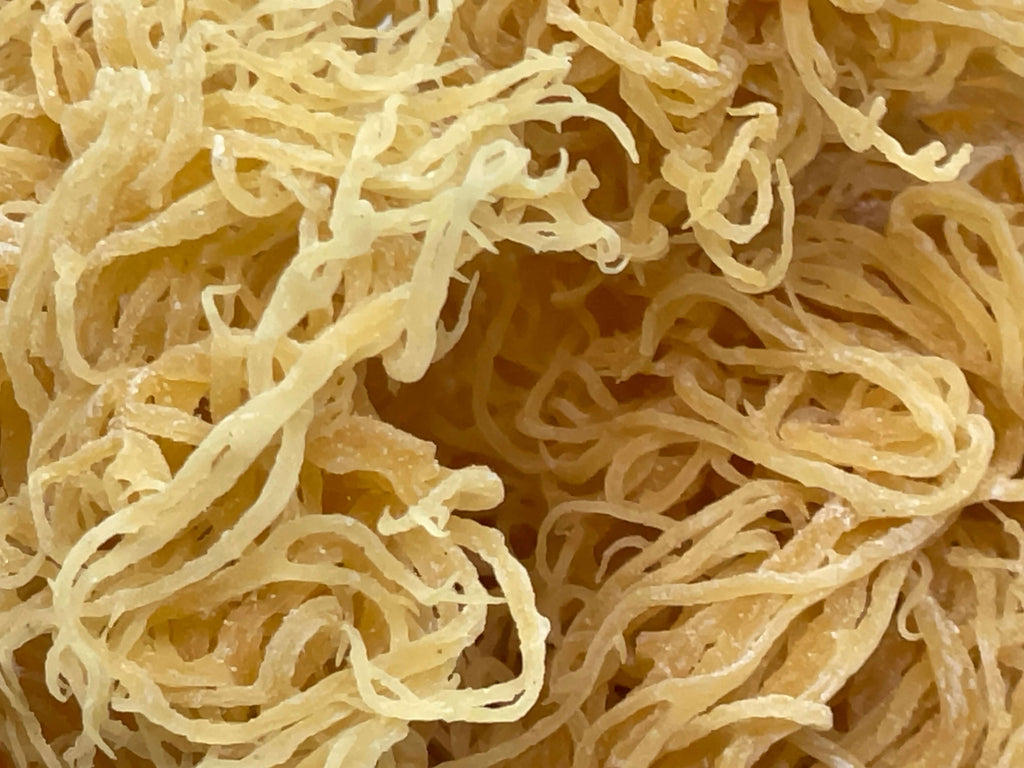 Gold Sea Moss Bulk | St. Lucian Dried Seamoss