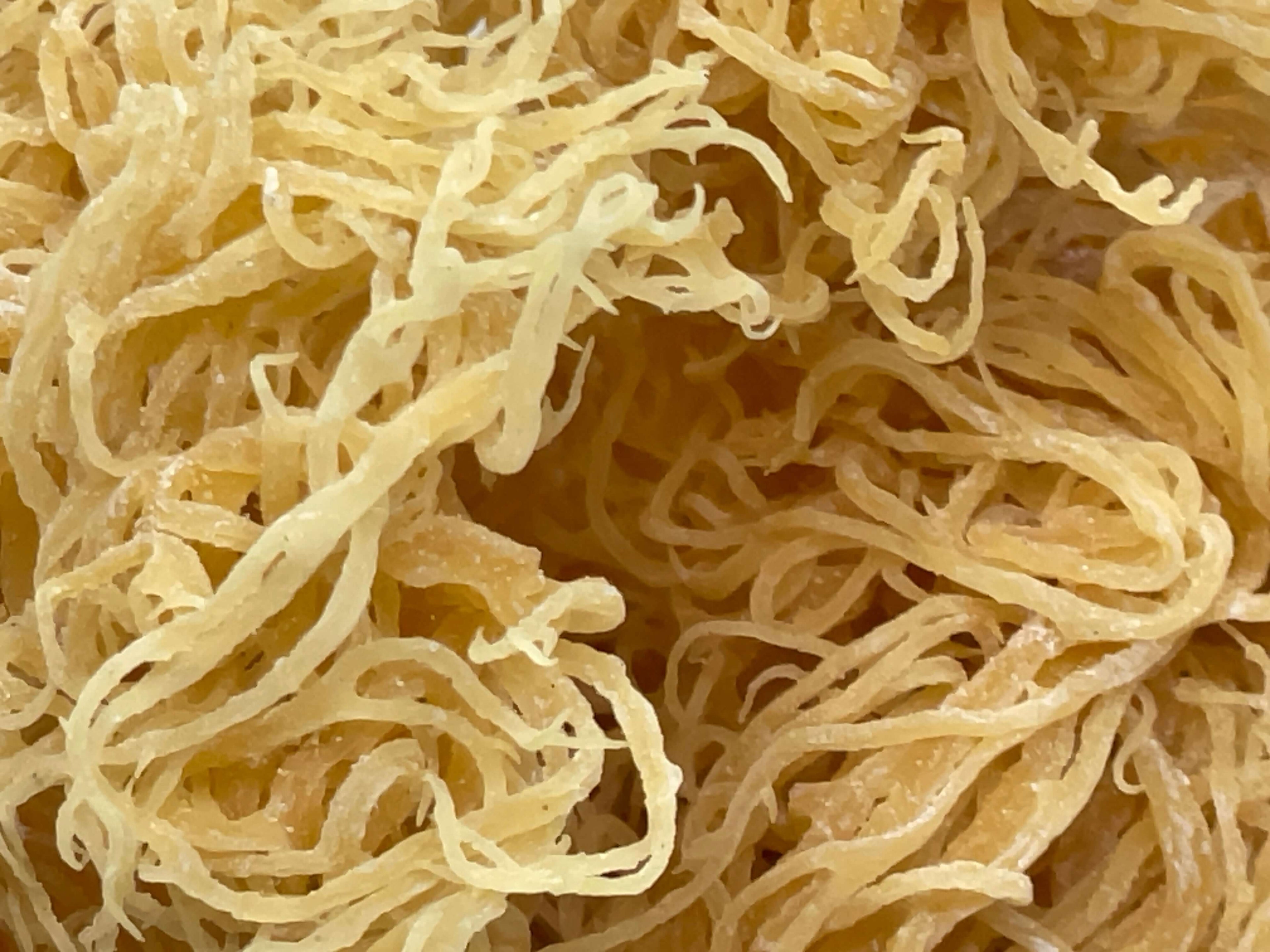 Gold Sea Moss Bulk | St. Lucian Dried Seamoss