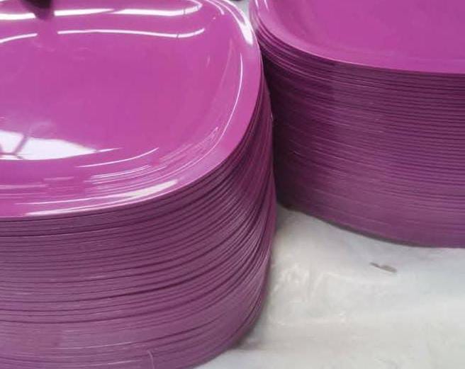 Reusable Plastic Plates & Cups - Durable & Eco-Friendly