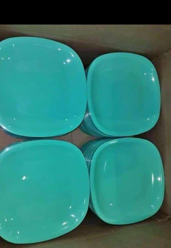 Reusable Plastic Plates & Cups - Durable & Eco-Friendly