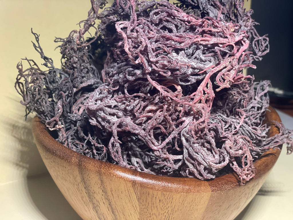Close-up of dried purple Sea Moss in a wooden bowl