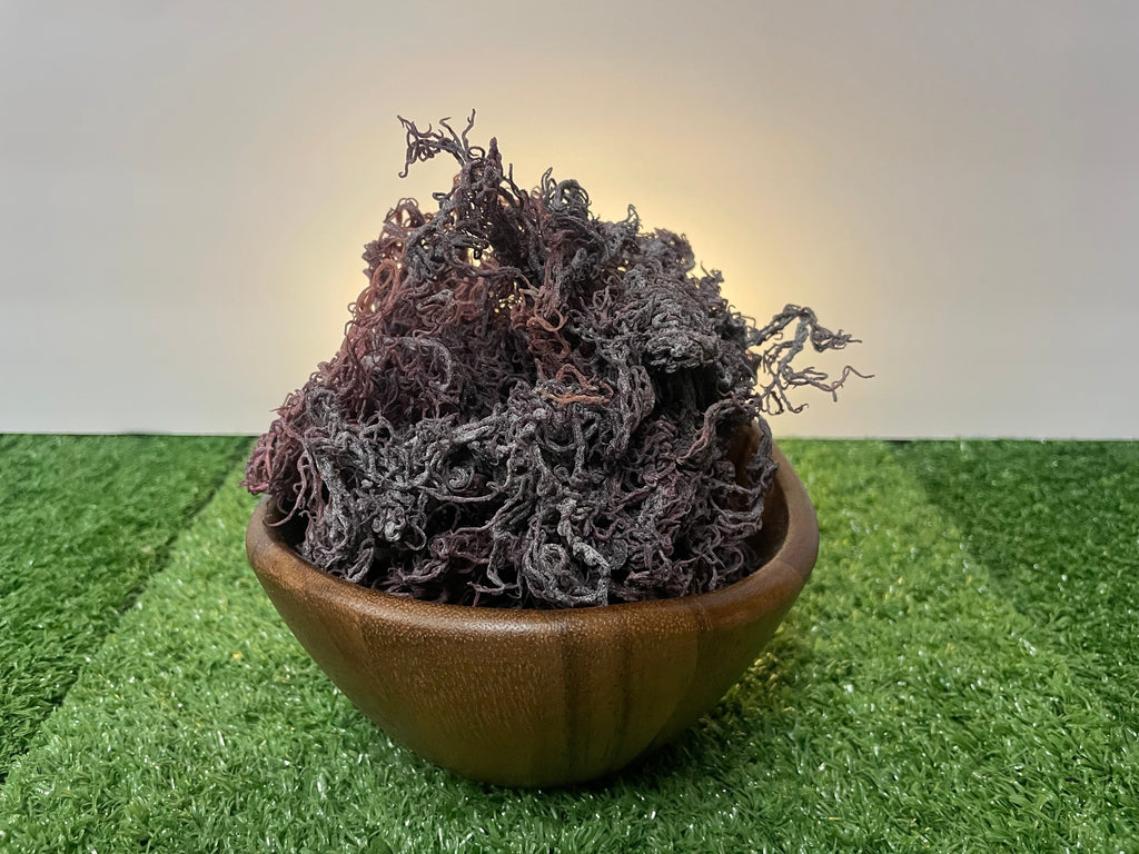 Dried purple Sea Moss on green grass surface