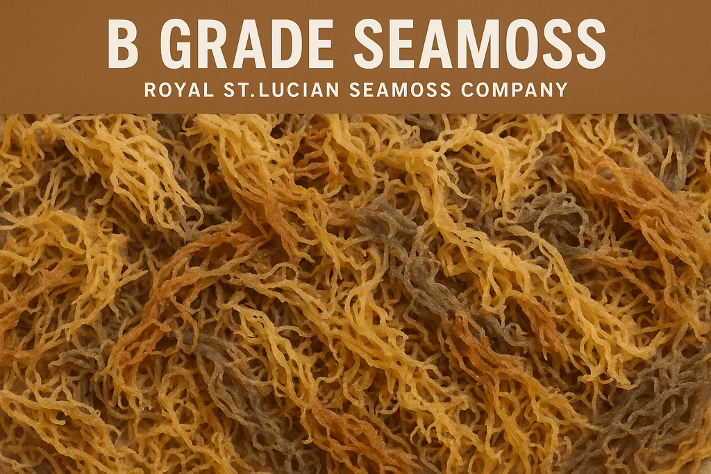 B Grade Full Spectrum St. Lucian Sea Moss — Wholesale Bulk 4.5kg