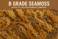 B Grade Full Spectrum St. Lucian Sea Moss — Wholesale Bulk 4.5kg