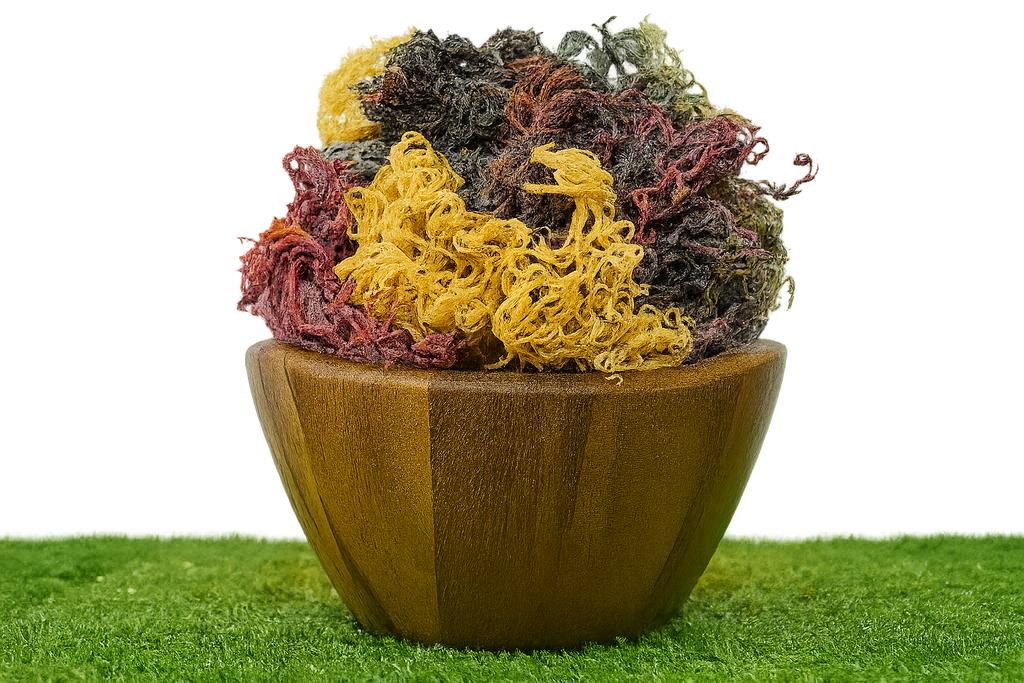 Full Spectrum Seamoss: Nature's Nutrient-Packed Treasure