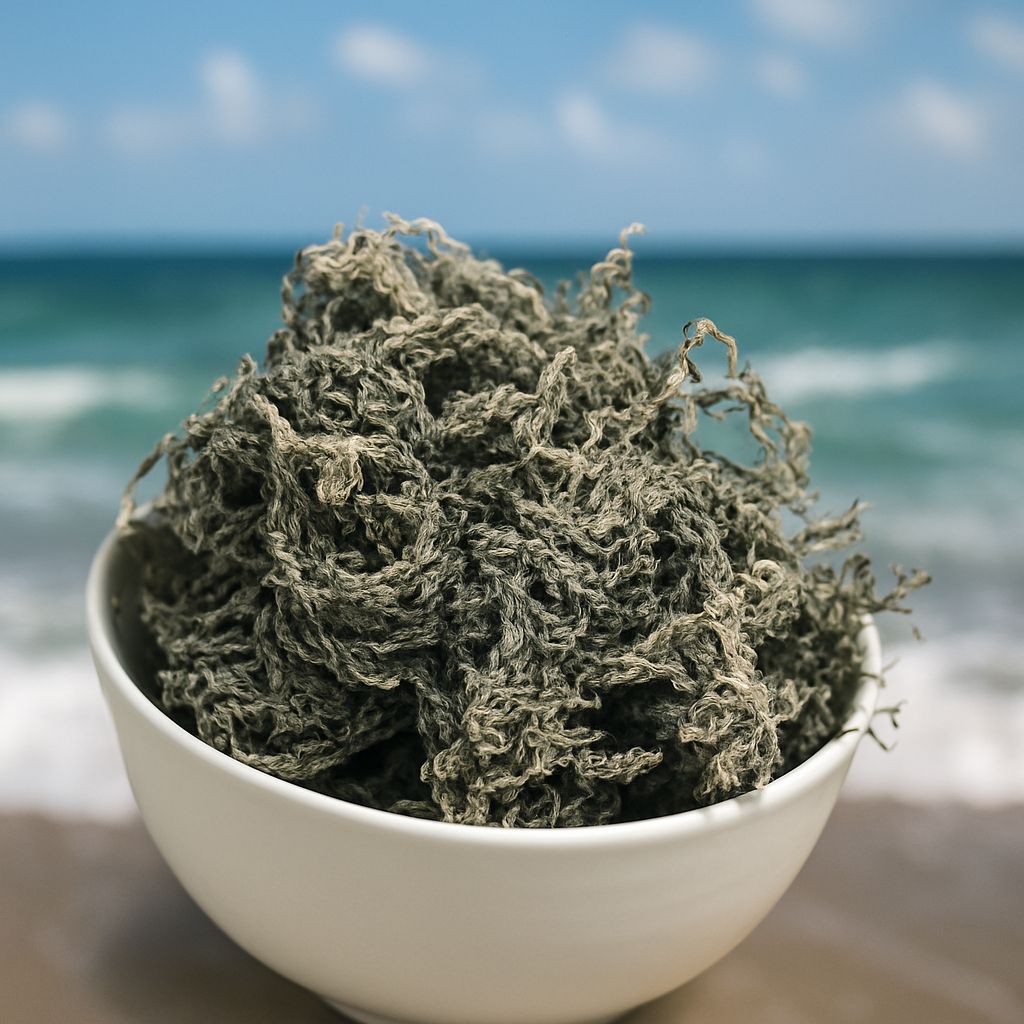 St Lucian Green Sea Moss (Dried) | Traceable, Lab Tested